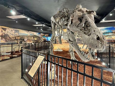 dinosaur replica bay area